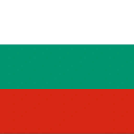 Български flag